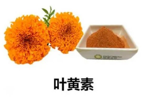 寧波試管嬰兒價格：懷孕期間服用中藥要小心，最好在醫生的指導下服用